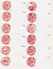 Media type: image;   Special Collections 1883 Description: HEC-1490 Slide K;
