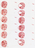 Media type: image;   Special Collections 1883 Description: HEC-1490 Slide J;