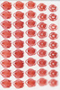 Media type: image; histological serial section;    shows cataloged_item Special Collections 1995 Description: HEC-1606 Slide B;