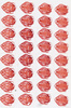 Media type: image; histological serial section;    shows cataloged_item Special Collections 1995 Description: HEC-1606 Slide C;