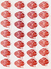 Media type: image; histological serial section;    shows cataloged_item Special Collections 1995 Description: HEC-1606 Slide D;